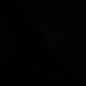 Meet your Posher, Leia